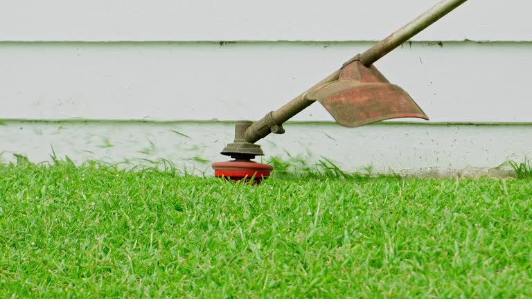 Soil Testing and Treatment in Wheeler, TX